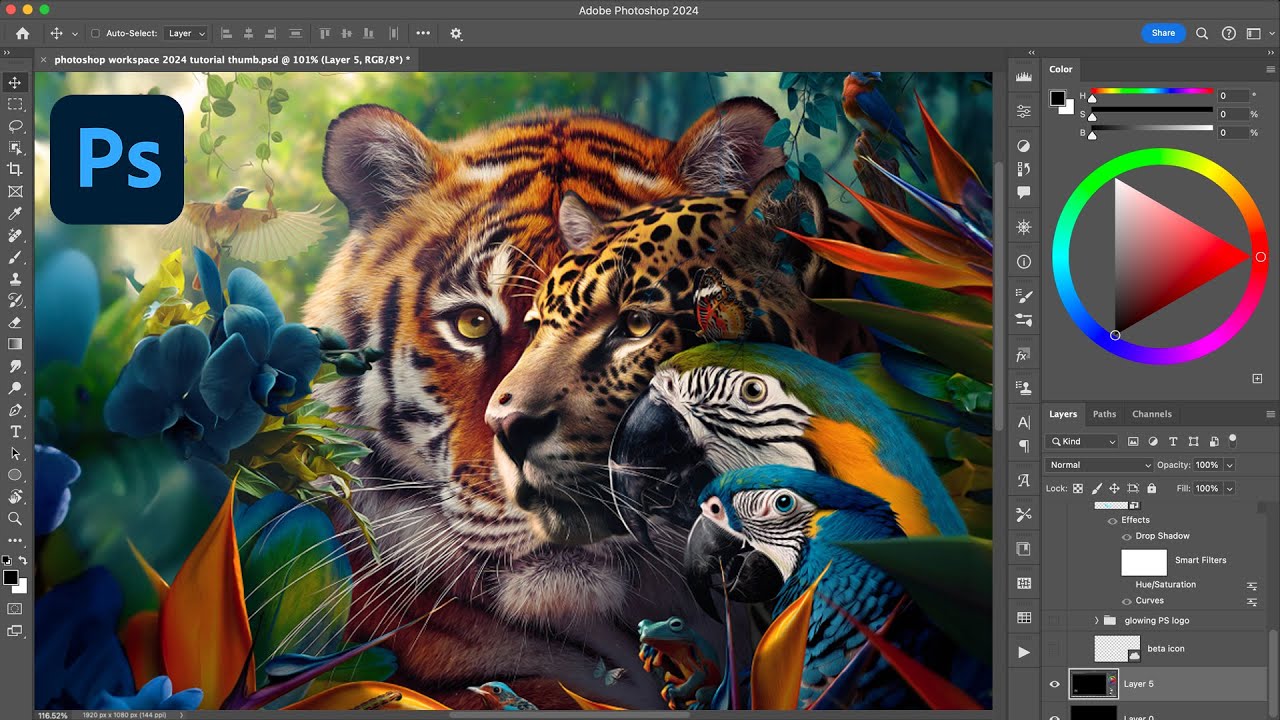 Adobe Photoshop 2024 v25120806 最新绿色安装版下载 1