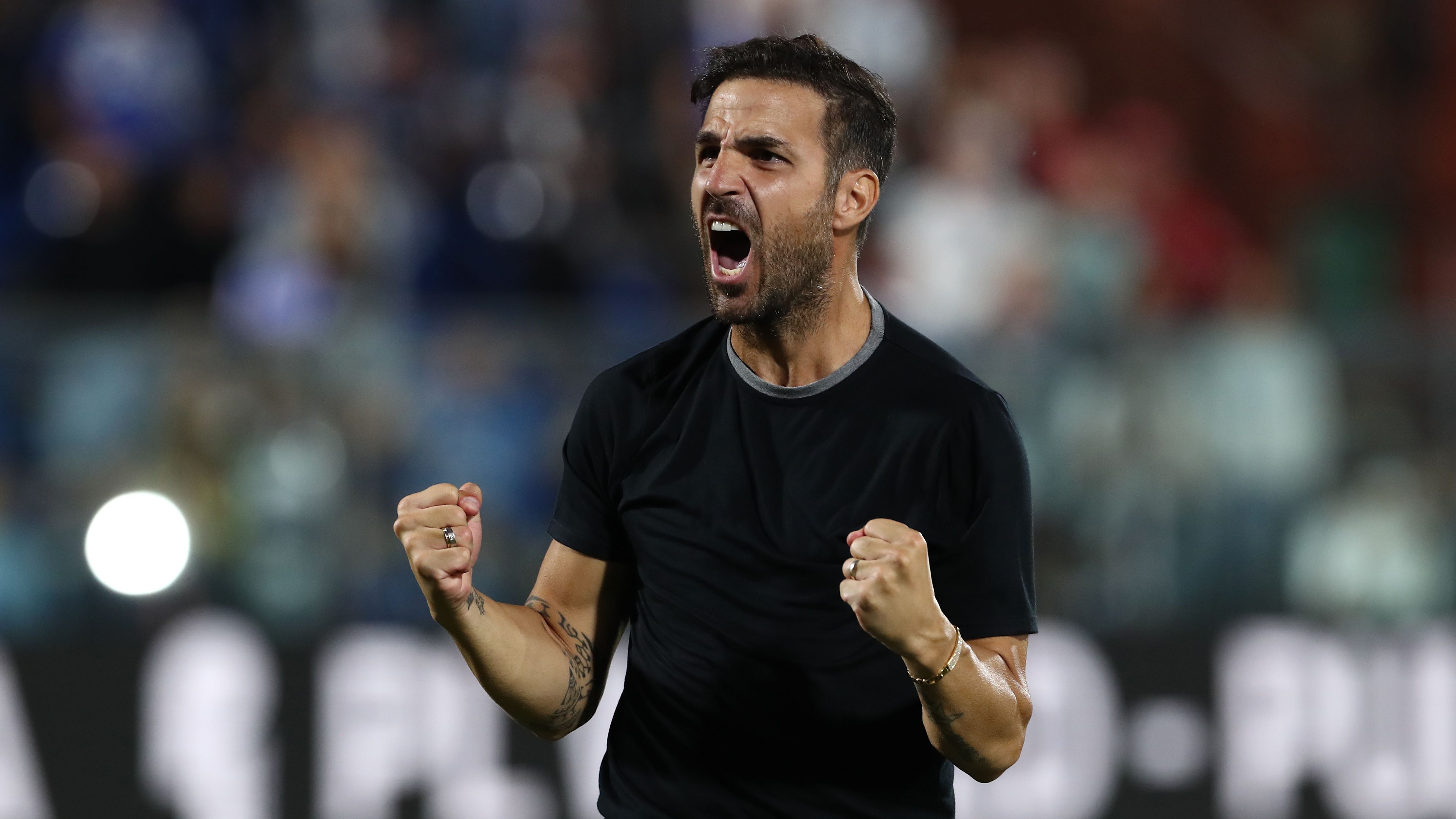 Cesc Fabregas Eyed as Mikel Arteta's Successor in Potential Premier League Return After Como Stint