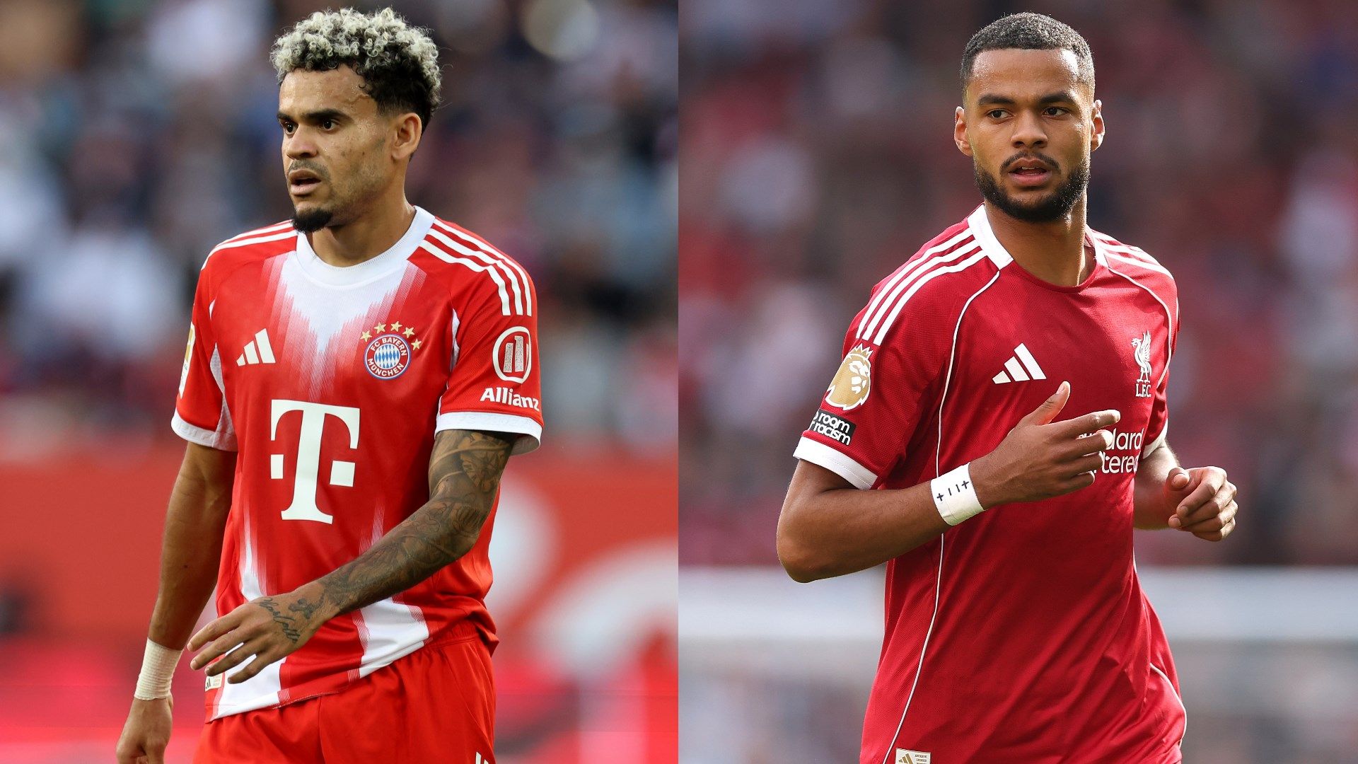 Cody Gakpo Reveals Bayern Munich's Interest Before They Signed Luis Diaz